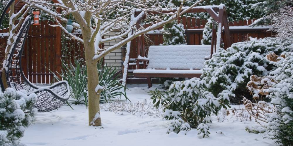8 tip co dlat na zahrad bhem zimy