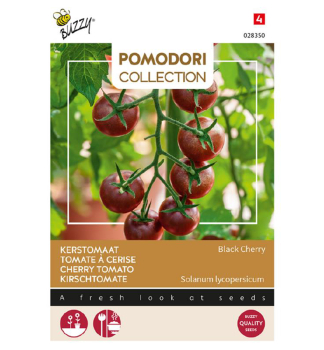 Semena - POMODORI CHERRY RAJATA BLACK CHERRY