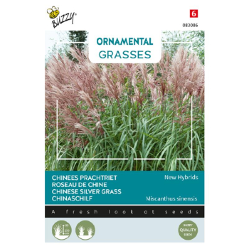 Semena - ORNAMENTAL OZDOBNICE NSKA NEW HYBRIDS