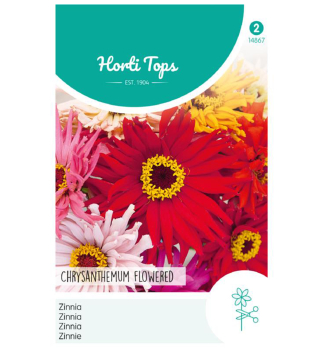 Semena - OSTLKA CHRYSANTHEMUM FLOWERED  sms